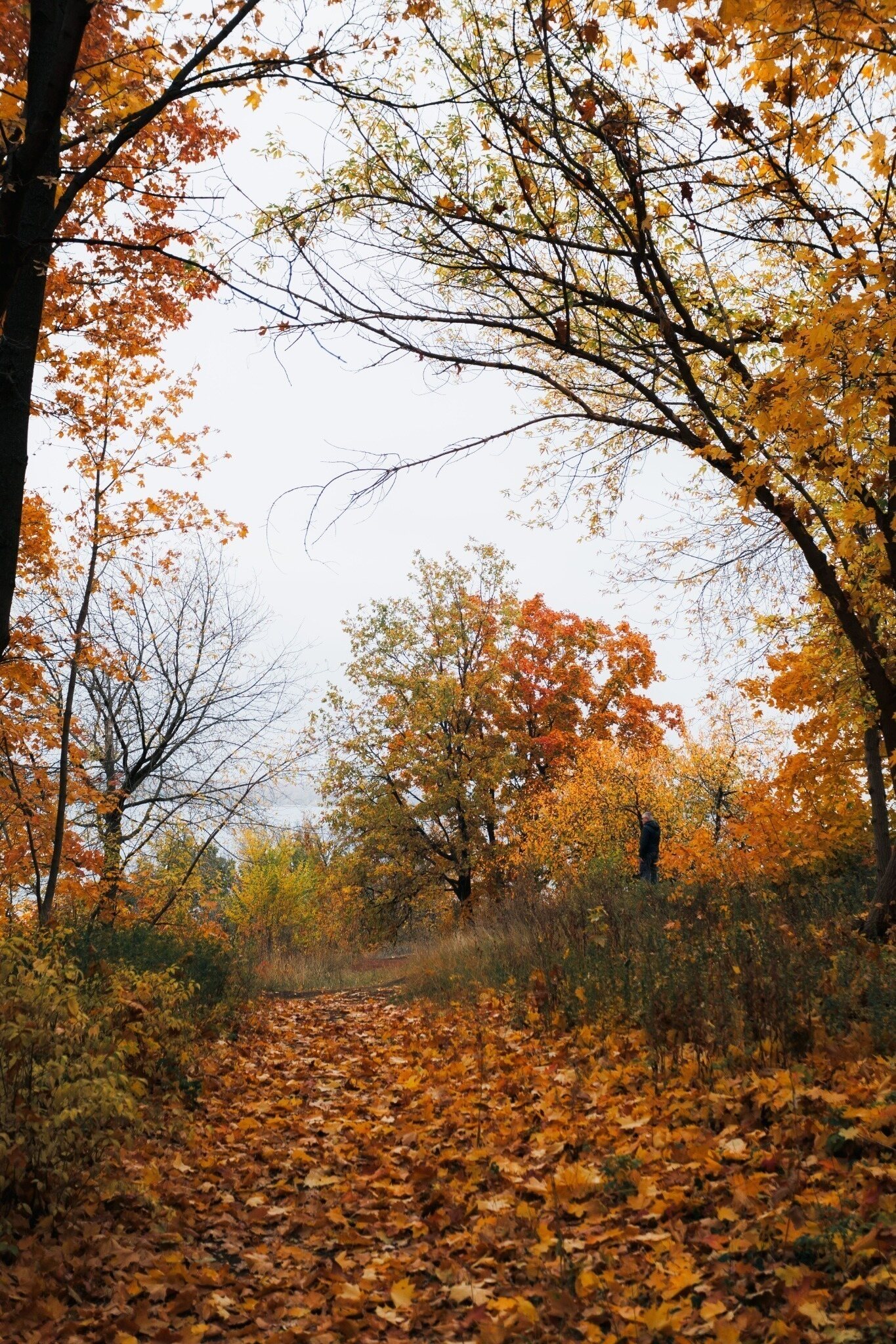Autumn path for Liftoff Fall 2026